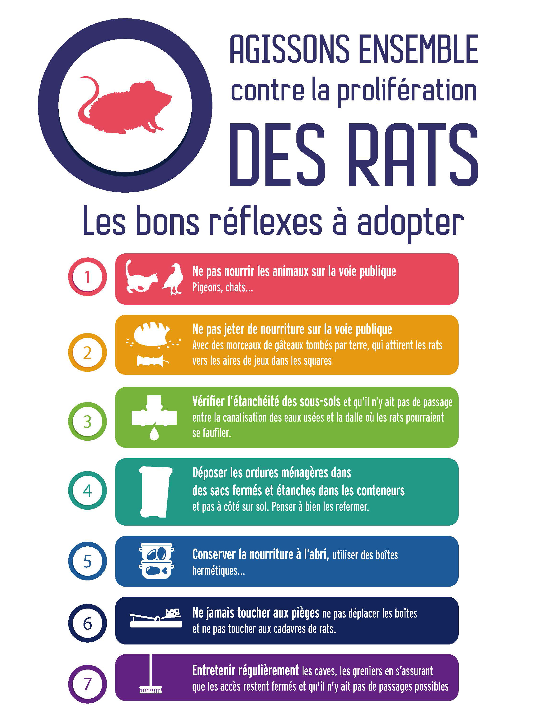 Toutes nos astuces pour se débarrasser efficacement des rats ! - Coffia