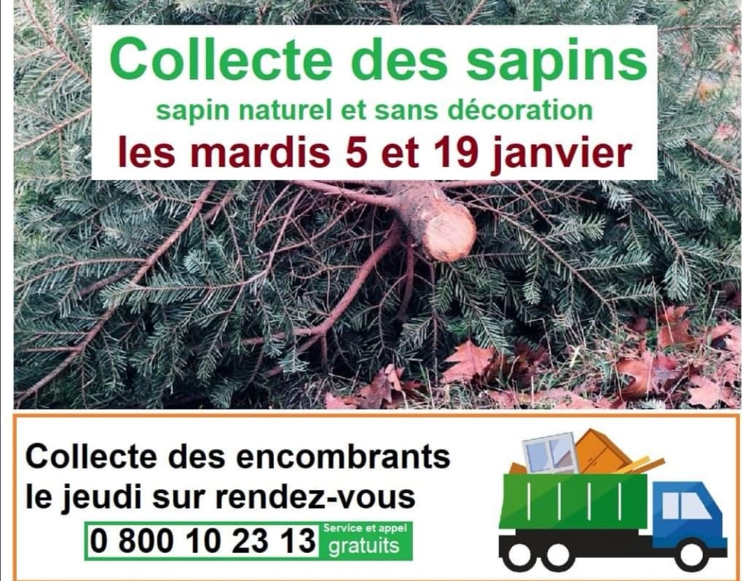 collecte sapins 2021