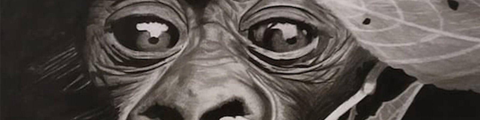 C.Leviaux-exposition-bandeau