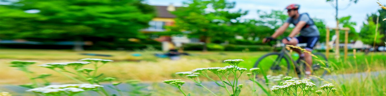 7 projets pour une ville grandeur nature