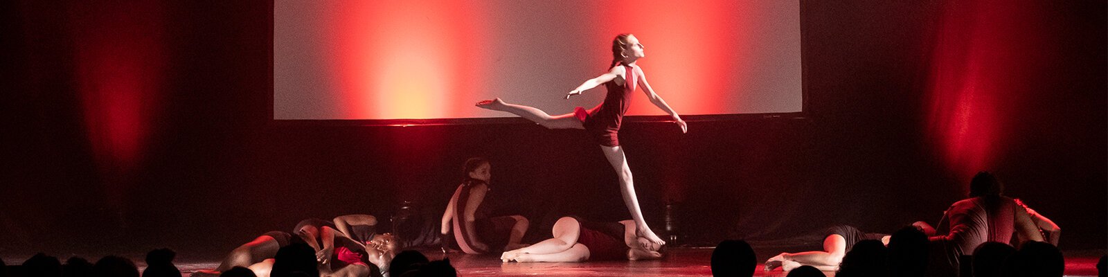 Rencontres artistiques de danse-spectacle