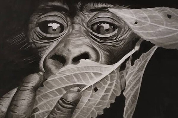 Christophe Leviaux_Image peinture "singe"_vignette